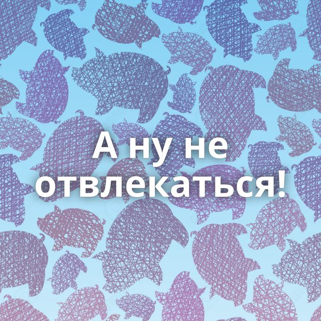 А ну не отвлекаться!