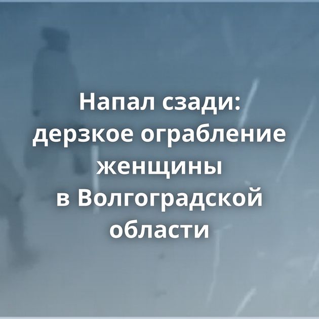 Напал сзади: дерзкое ограбление женщины в Волгоградской области