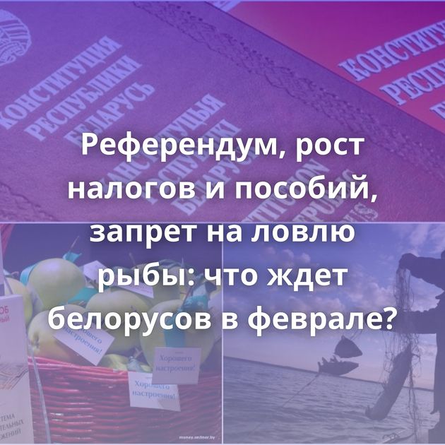 Референдум, рост налогов и пособий, запрет на ловлю рыбы: что ждет белорусов в феврале?