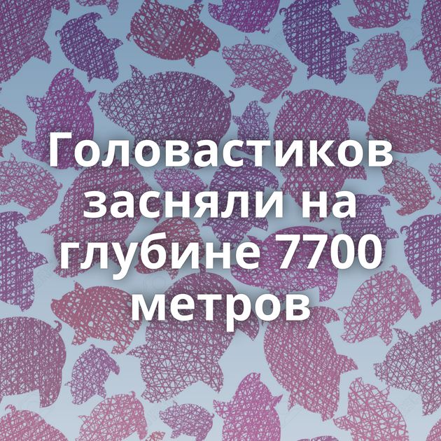 Головастиков засняли на глубине 7700 метров