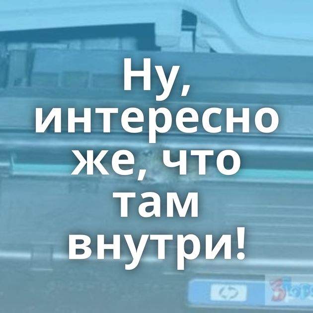 Ну, интересно же, что там внутри!