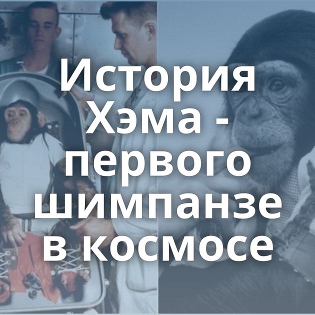 История Хэма - первого шимпанзе в космосе