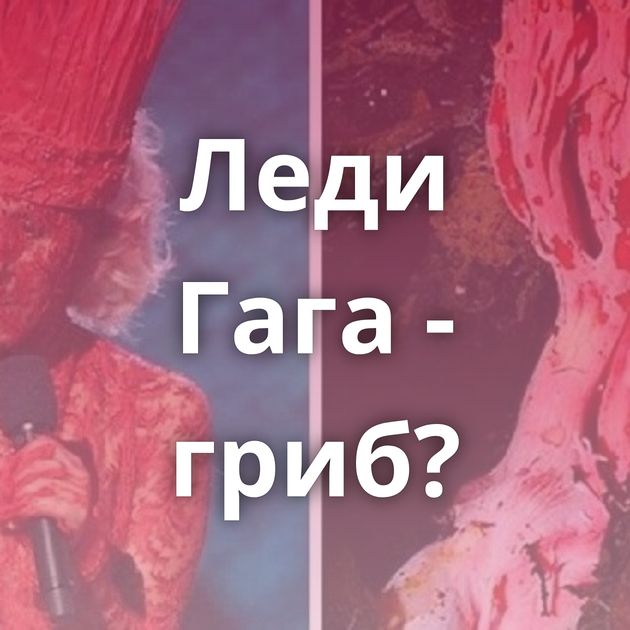 Леди Гага - гриб?