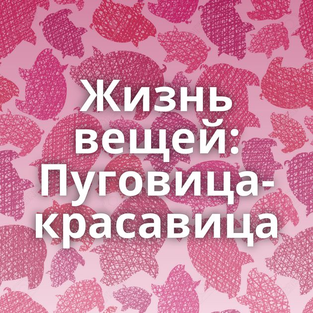 Жизнь вещей: Пуговица-красавица