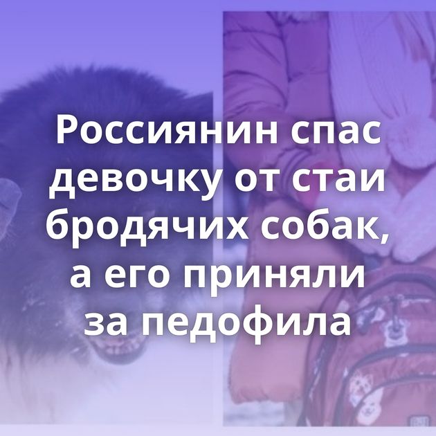 Россиянин спас девочку от стаи бродячих собак, а его приняли за педофила