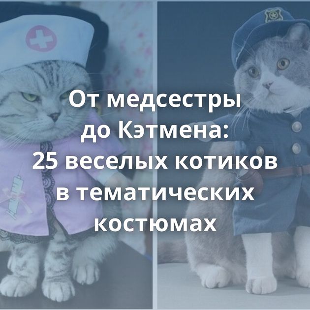 От медсестры до Кэтмена: 25 веселых котиков в тематических костюмах