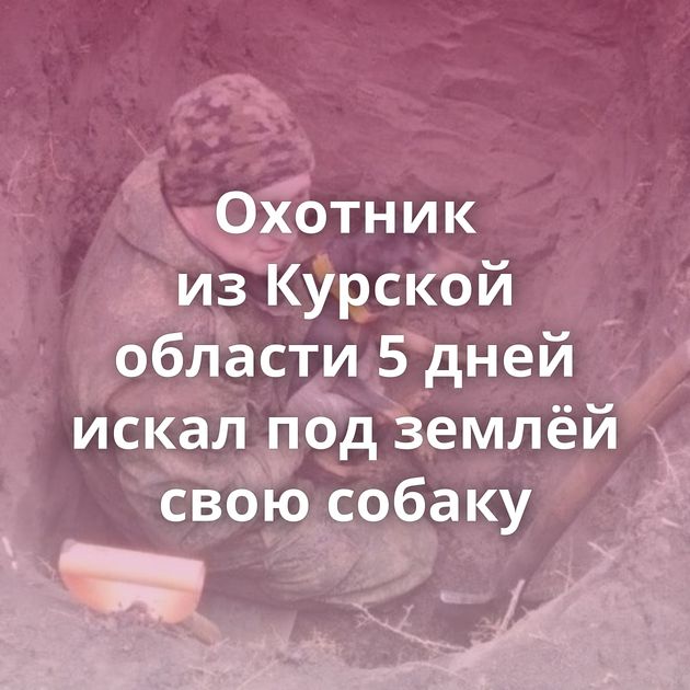 Охотник из Курской области 5 дней искал под землёй свою собаку