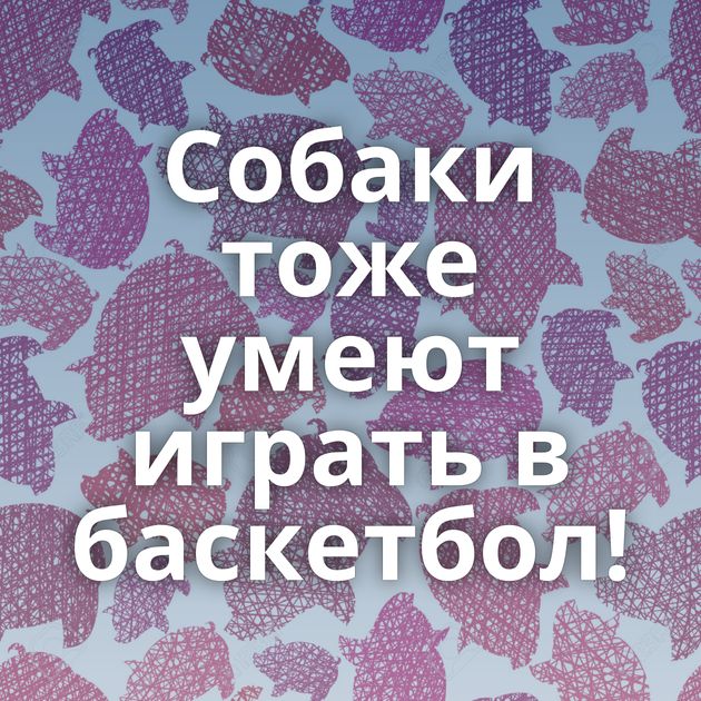 Собаки тоже умеют играть в баскетбол!