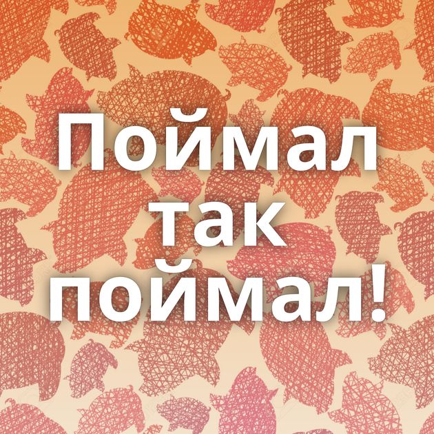 Поймал так поймал!