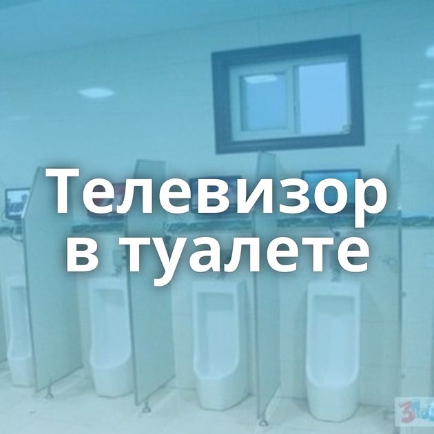 Телевизор в туалете