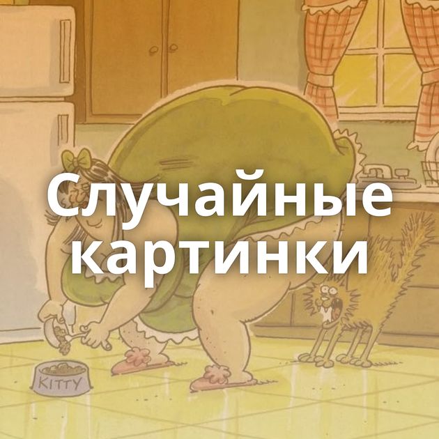 Случайные картинки