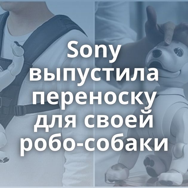 Sony выпустила переноску для своей робо-собаки