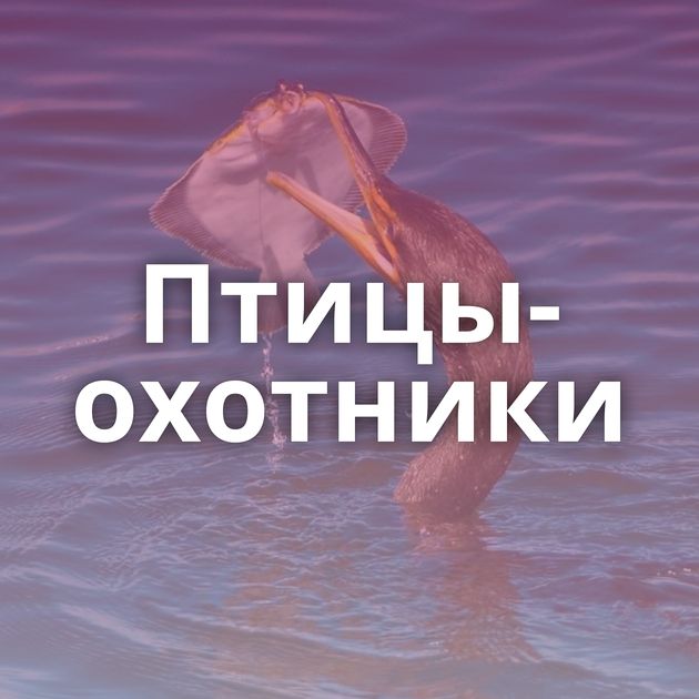 Птицы-охотники
