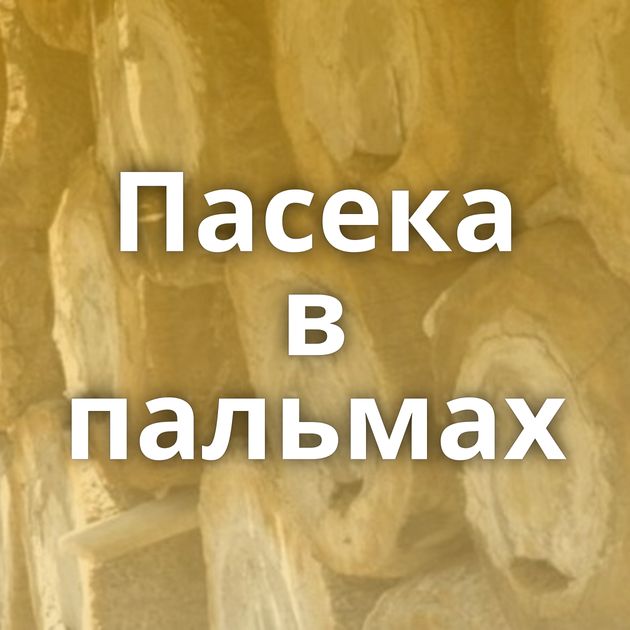 Пасека в пальмах