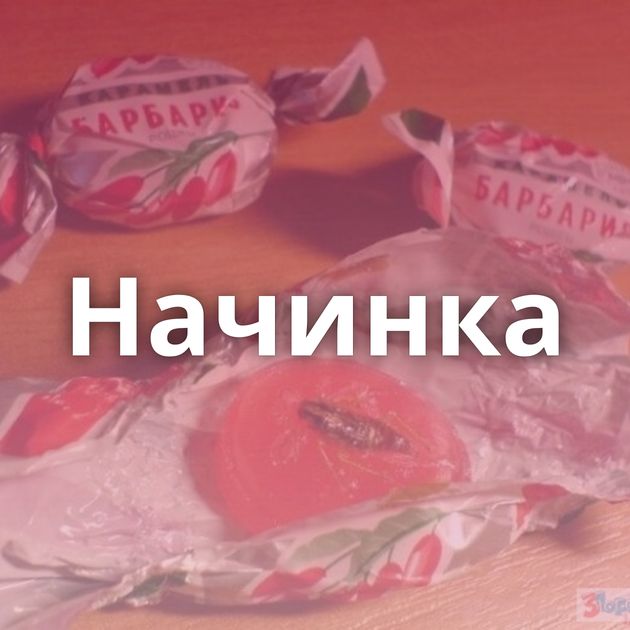 Начинка