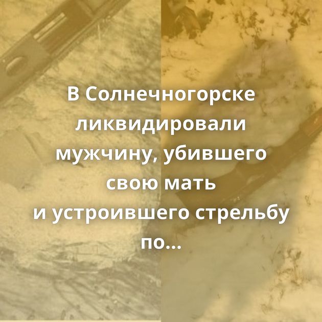 В Солнечногорске ликвидировали мужчину, убившего свою мать и устроившего стрельбу по полицейским
