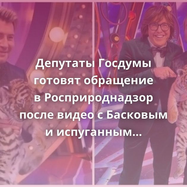 Депутаты Госдумы готовят обращение в Росприроднадзор после видео с Басковым и испуганным тигрёнком