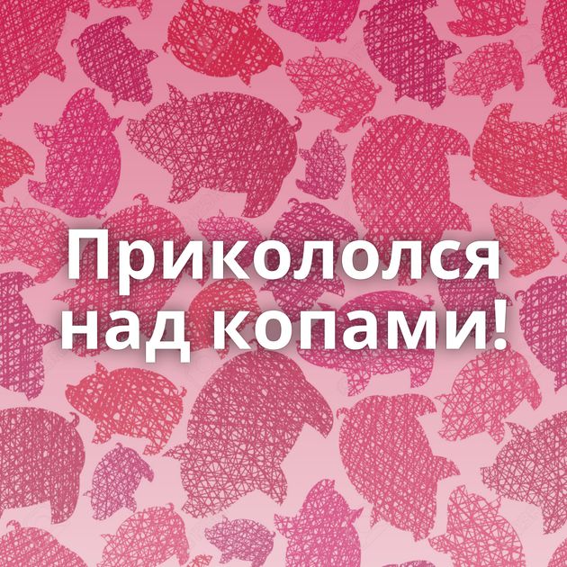 Прикололся над копами!