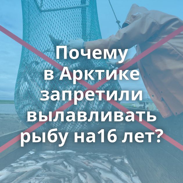 Почему в Арктике запретили вылавливать рыбу на16 лет?