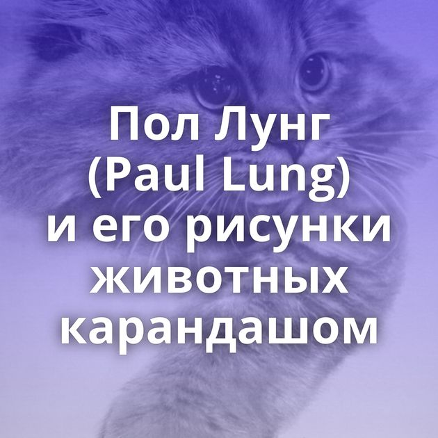 Пол Лунг (Paul Lung) и его рисунки животных карандашом