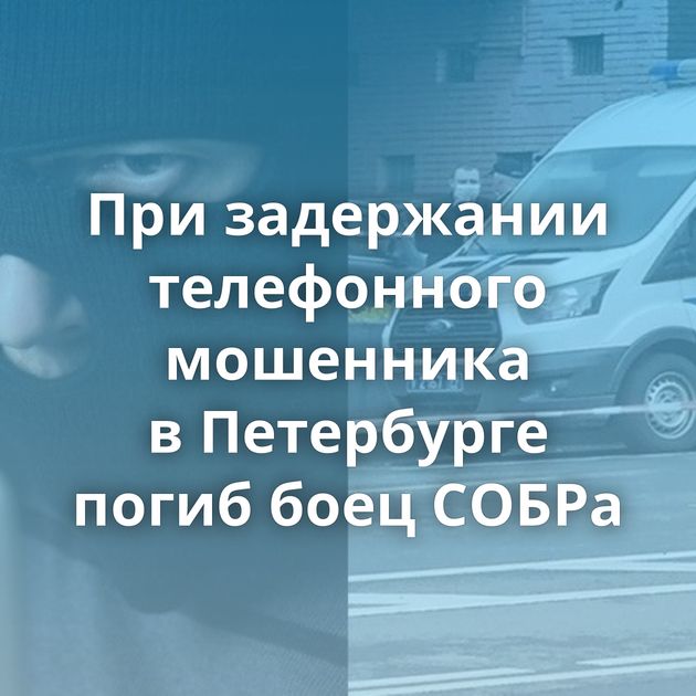 При задержании телефонного мошенника в Петербурге погиб боец СОБРа