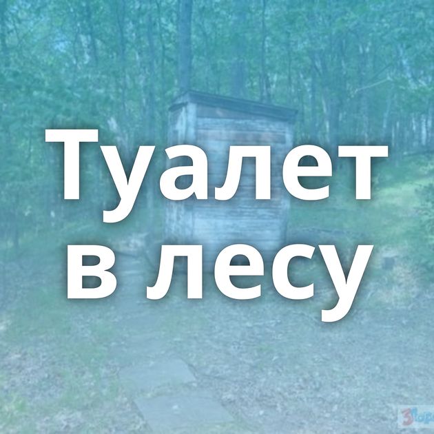 Туалет в лесу