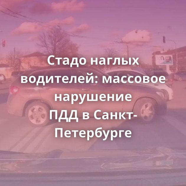 Стадо наглых водителей: массовое нарушение ПДД в Санкт-Петербурге