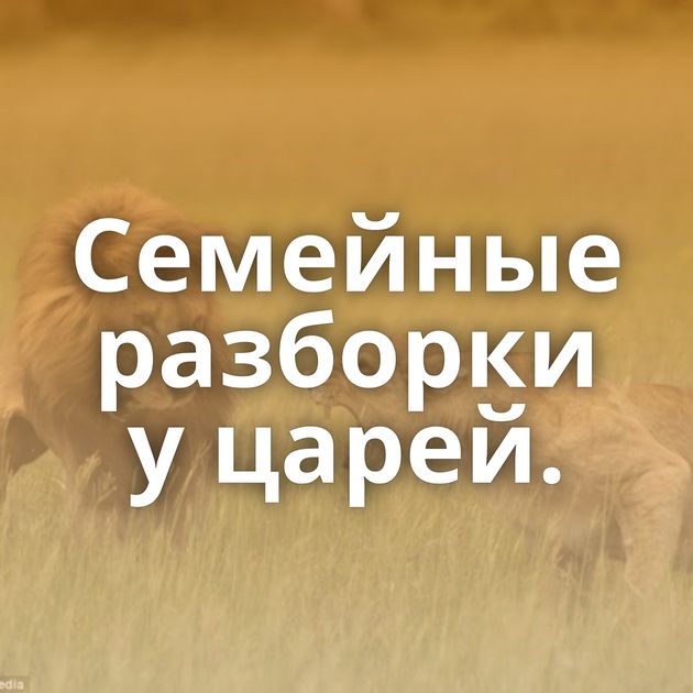 Семейные разборки у царей.