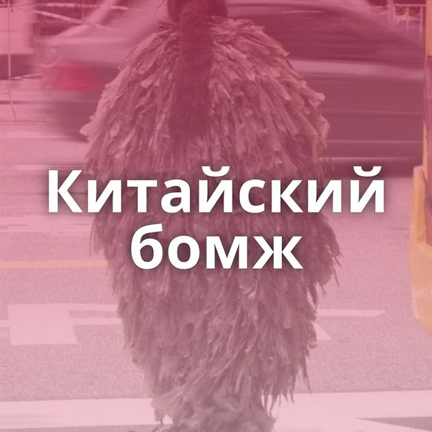 Китайский бомж