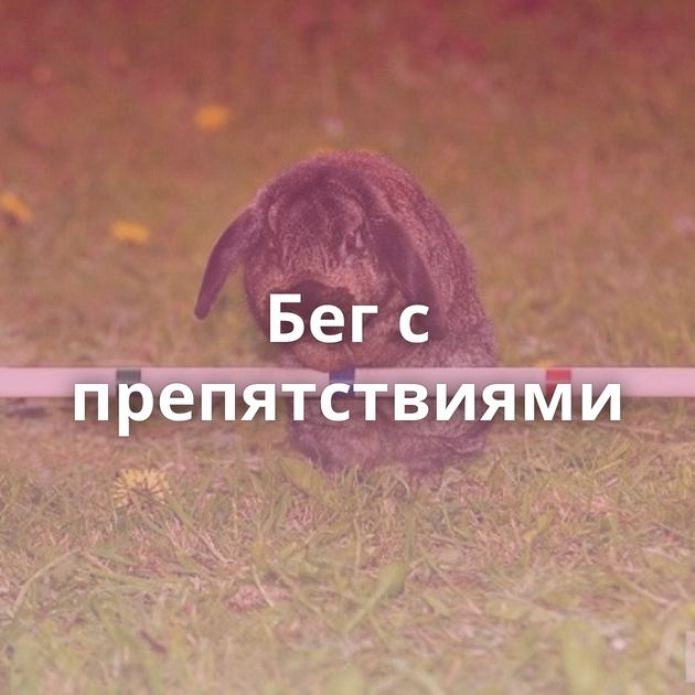 Бег с препятствиями