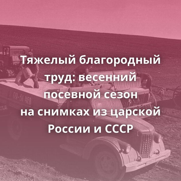 Тяжелый благородный труд: весенний посевной сезон на снимках из царской России и СССР
