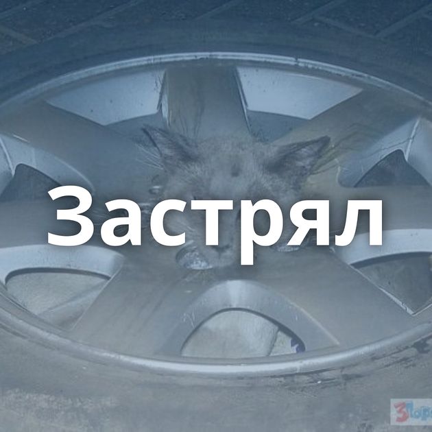 Застрял
