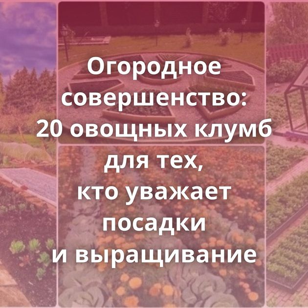 Огородное совершенство: 20 овощных клумб для тех, кто уважает посадки и выращивание