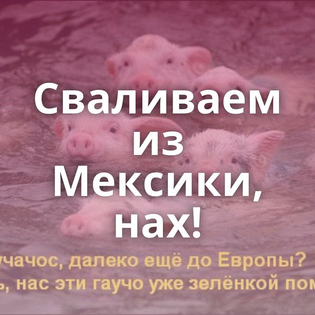 Сваливаем из Мексики, нах!