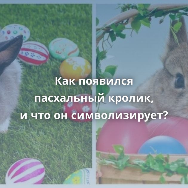 Как появился пасхальный кролик, и что он символизирует?