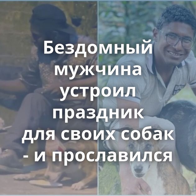 Бездомный мужчина устроил праздник для своих собак - и прославился