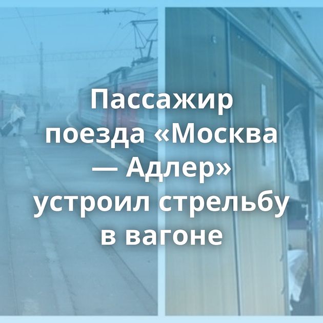 Пассажир поезда «Москва — Адлер» устроил стрельбу в вагоне