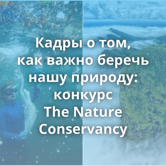 Кадры о том, как важно беречь нашу природу: конкурс The Nature Conservancy