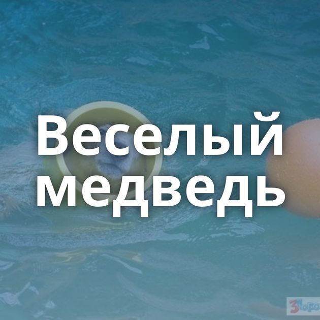 Веселый медведь