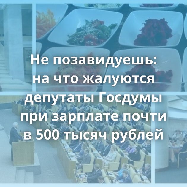 Не позавидуешь: на что жалуются депутаты Госдумы при зарплате почти в 500 тысяч рублей