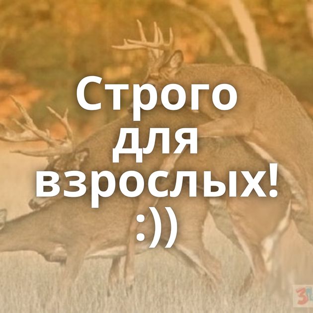 Строго для взрослых! :))