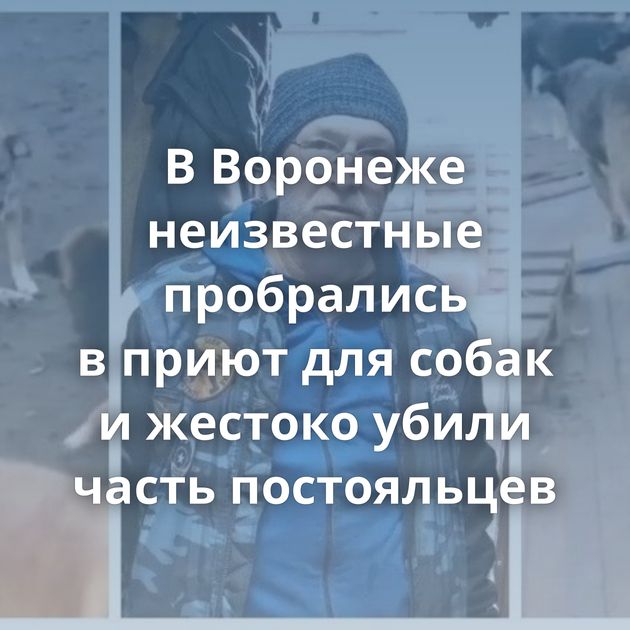 В Воронеже неизвестные пробрались в приют для собак и жестоко убили часть постояльцев