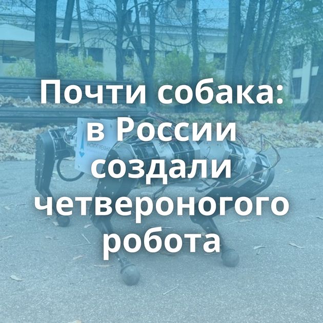 Почти собака: в России создали четвероногого робота