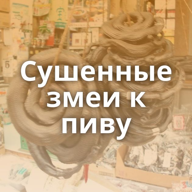 Сушенные змеи к пиву
