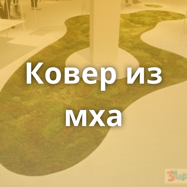 Ковер из мха