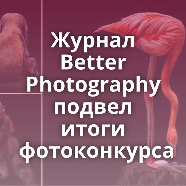 Журнал Better Photography подвел итоги фотоконкурса