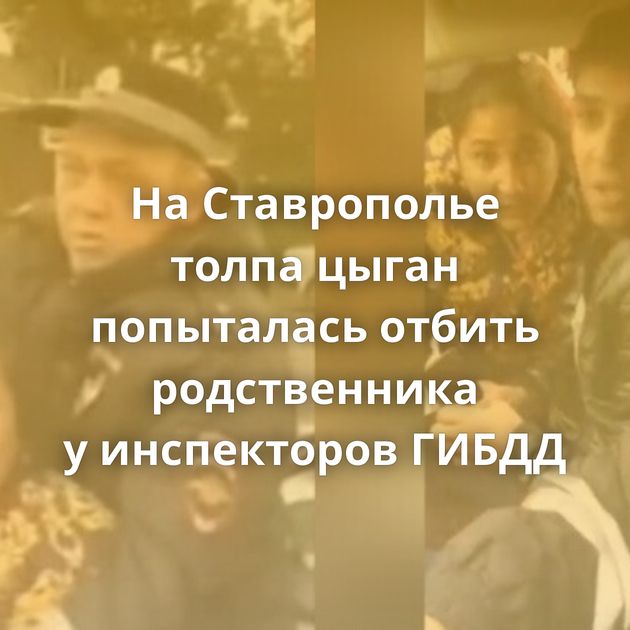 На Ставрополье толпа цыган попыталась отбить родственника у инспекторов ГИБДД
