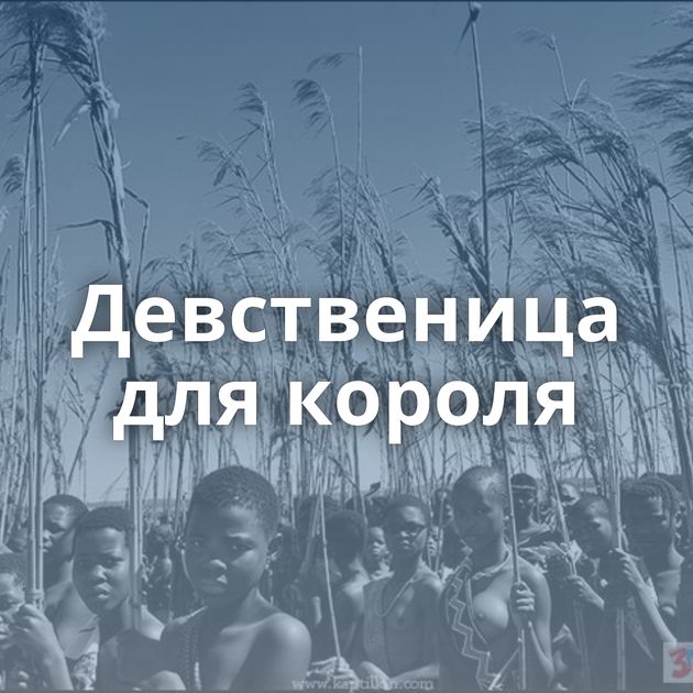 Девственица для короля
