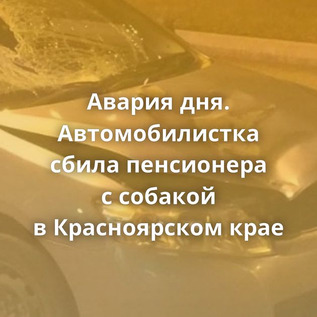 Авария дня. Автомобилистка сбила пенсионера с собакой в Красноярском крае
