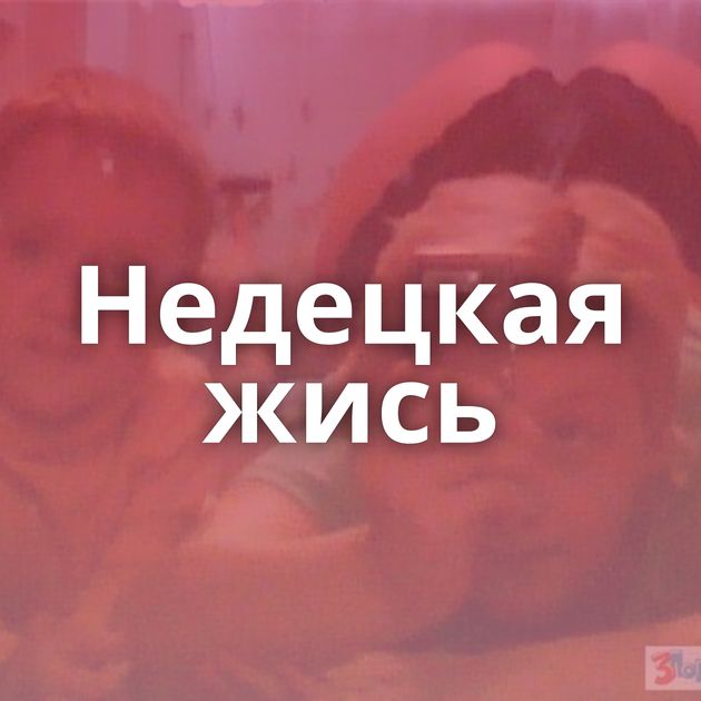 Недецкая жись